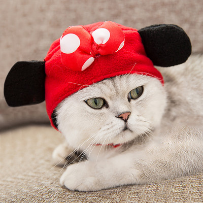 Topla kapa za psa Smiješna modna kosplay kapa za psa Kapa za psa Šešir za mačke Kostim za kućne ljubimce Plišani pas Mačka Smiješne pokrivala za glavu Nakit za dekoraciju zabave