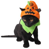 Naljakas kassimüts Halloweeni kõrvits Dekoratiivne lemmikloomakostüüm Koer Cosplay Müts Kutsikapidu Müts Festival Koerariided Lemmikloomatarvikud