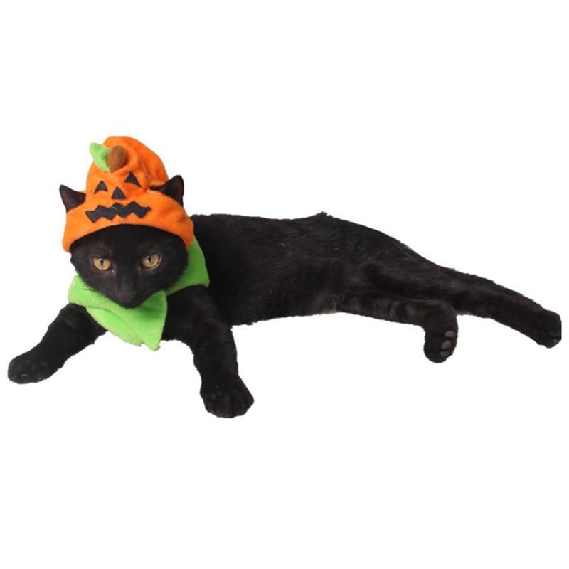 Naljakas kassimüts Halloweeni kõrvits Dekoratiivne lemmikloomakostüüm Koer Cosplay Müts Kutsikapidu Müts Festival Koerariided Lemmikloomatarvikud