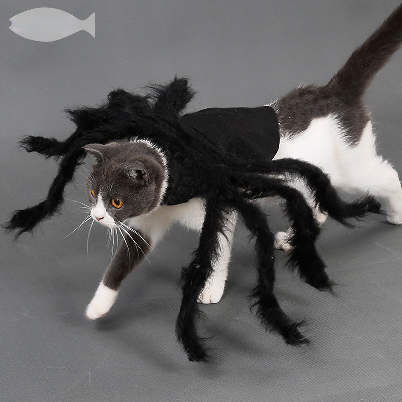 Nova paukova odjeća za noć vještica za psa, mačku, kostime pauka, oblačenje, odjeća za kućne ljubimce, kostim za kućnog ljubimca, psa, kostim za noć vještica, rekviziti 2021.