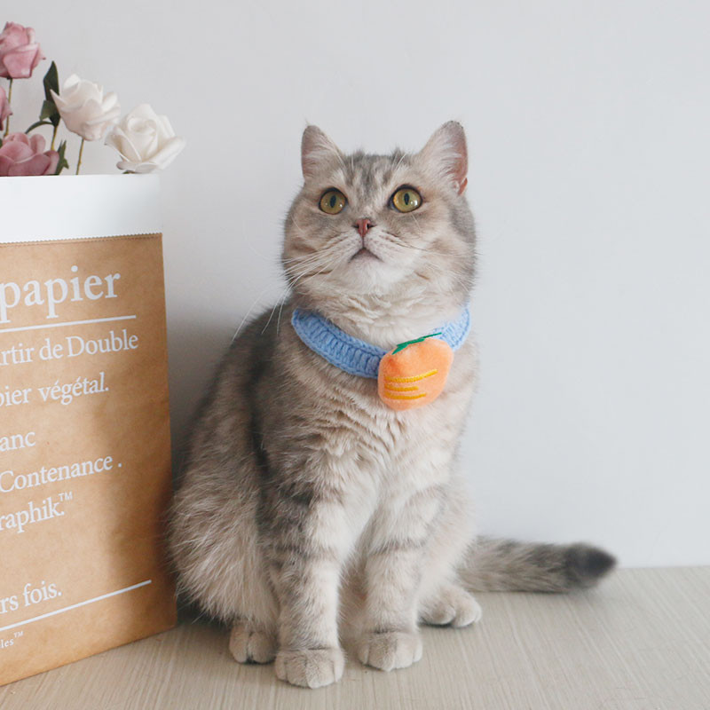 MPK uue seeria kassi kaelarihm armas kootud kaelakee käsitsi kootud sall, mis sobib ka koerale