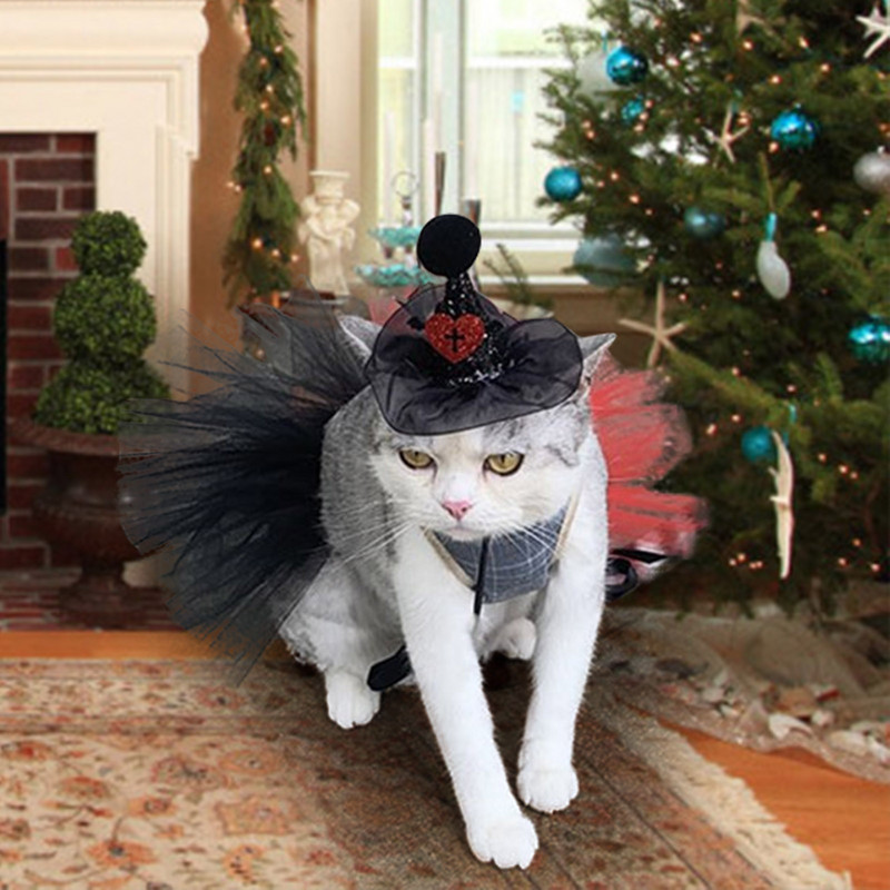 Lemmikloomade Halloweeni kostüümikomplekt Uus moodne võrgust Halloweeni müts kikilipsuga Tutu seelik Lemmikloomad Rõivad ja aksessuaarid Kassid Koerte Varustus