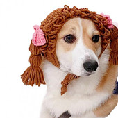 Mājdzīvnieka cepure Galvassegas bizes Dizaina foto rekvizīti Mīksti, jautri mājdzīvnieku kucēnu cepure Pavasara suņu kaķu apģērbu aksesuāri Foto rekvizīti