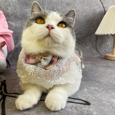 Mīlīgs suns kaķis trīsstūrveida šalle mājdzīvniekam sūcošs dvielis kaķa priekšautiņš mazs un vidējs mājdzīvnieks mīlīgs princeses priekšauts