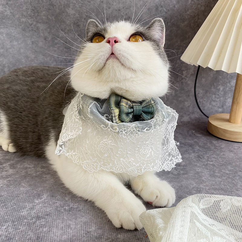 Mīlīgs suns kaķis trīsstūrveida šalle mājdzīvniekam sūcošs dvielis kaķa priekšautiņš mazs un vidējs mājdzīvnieks mīlīgs princeses priekšauts