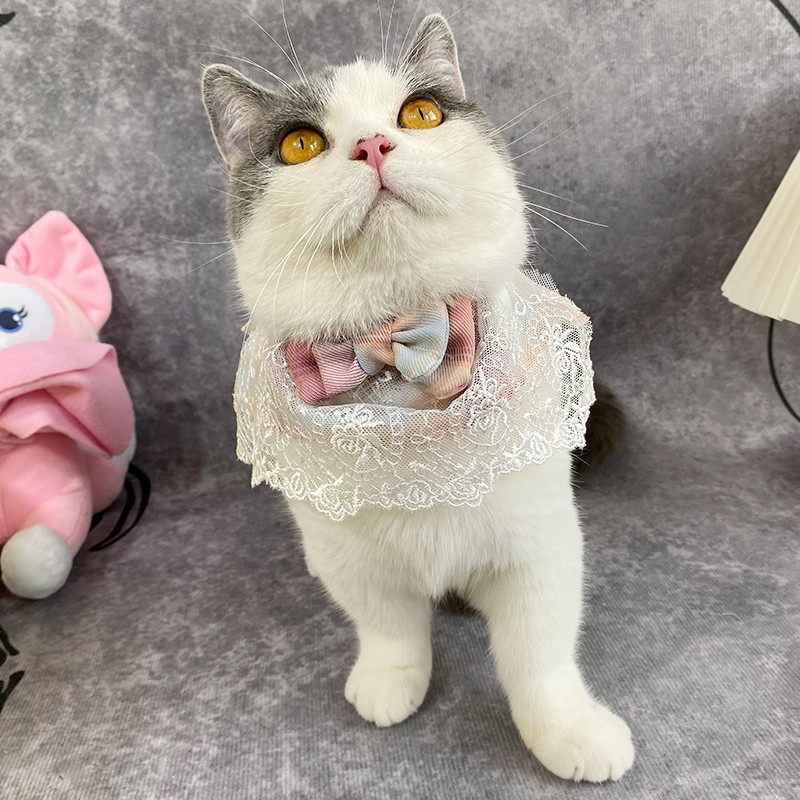 Mīlīgs suns kaķis trīsstūrveida šalle mājdzīvniekam sūcošs dvielis kaķa priekšautiņš mazs un vidējs mājdzīvnieks mīlīgs princeses priekšauts