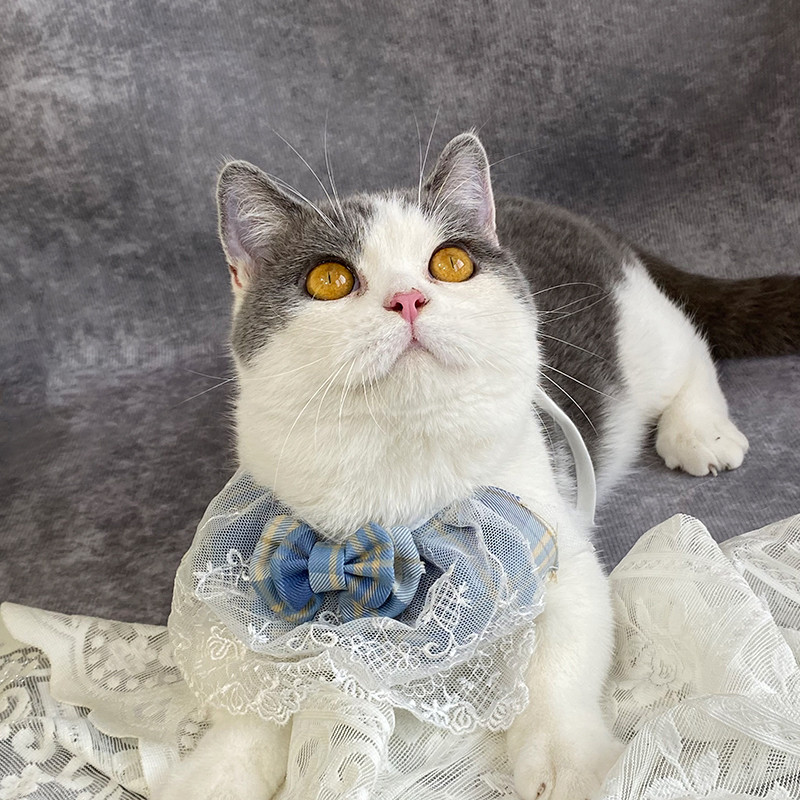 Mīlīgs suns kaķis trīsstūrveida šalle mājdzīvniekam sūcošs dvielis kaķa priekšautiņš mazs un vidējs mājdzīvnieks mīlīgs princeses priekšauts