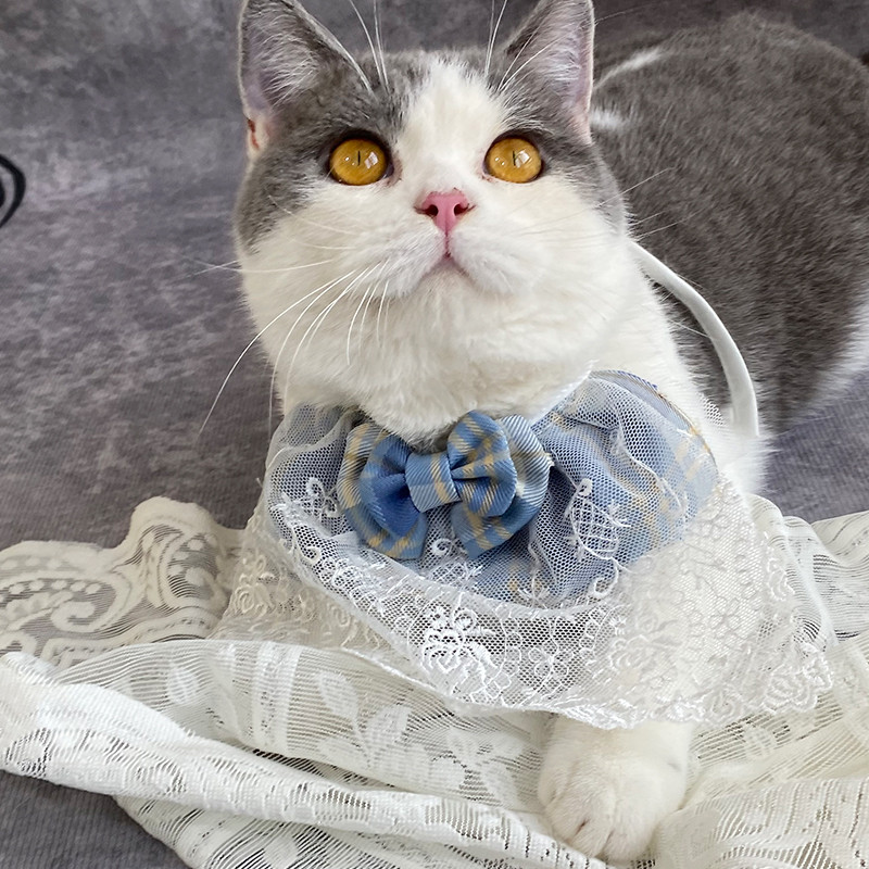 Mīlīgs suns kaķis trīsstūrveida šalle mājdzīvniekam sūcošs dvielis kaķa priekšautiņš mazs un vidējs mājdzīvnieks mīlīgs princeses priekšauts