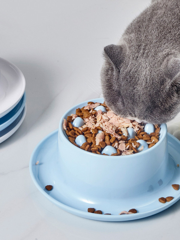 Slow Food Basin mājdzīvnieku galda piederumi kaķiem un suņiem, universāli, lai novērstu aptaukošanos no pārāk ātras ēšanas kakla aizsardzībai mājdzīvnieku piederumi