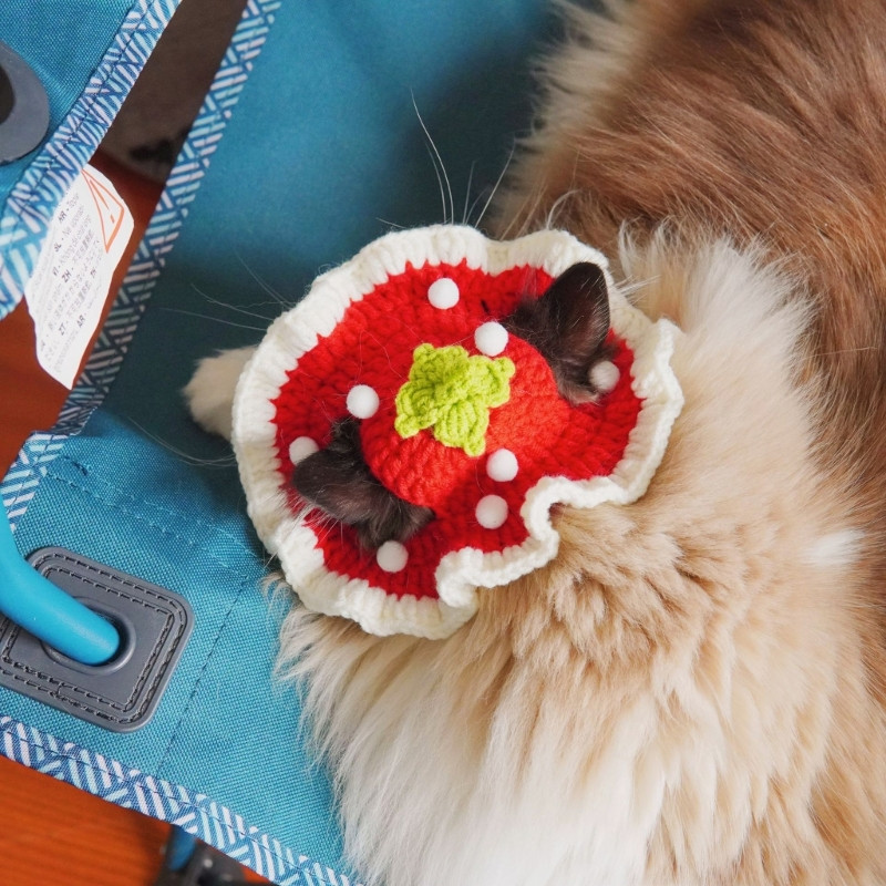 Zimska kapa Elastična slatka profinjena kapa za kućne ljubimce Psići Mačići Pletena kapa Rekviziti za foto snimanje za zabave Dekoracija Dropshipping