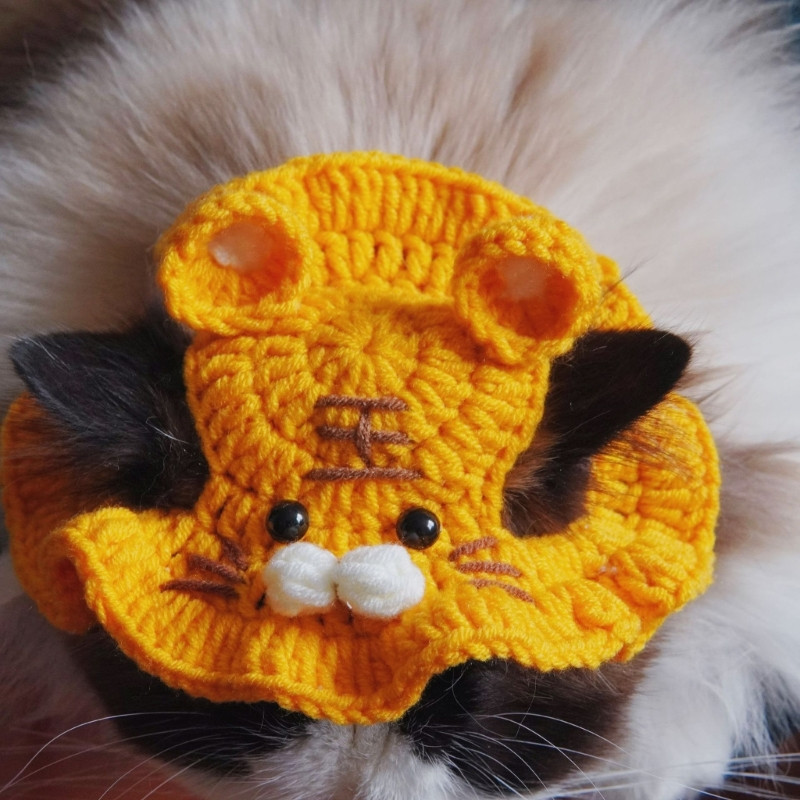 Zimska kapa Elastična slatka profinjena kapa za kućne ljubimce Psići Mačići Pletena kapa Rekviziti za foto snimanje za zabave Dekoracija Dropshipping