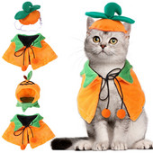Halloweeni lemmiklooma kostüüm kõrvitsa kostüüm naljakas võlur kassi riided kasside ja väikeste koerte kuub Halloweeni cosplay kostüümi koer