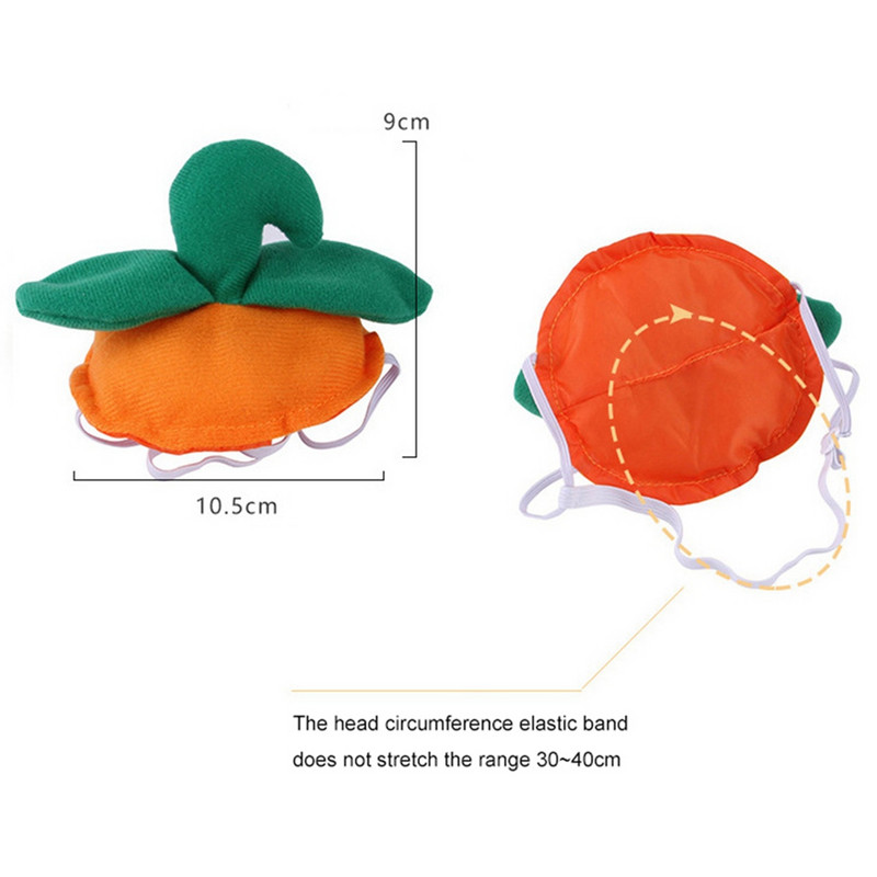 Halloweeni lemmiklooma kostüüm kõrvitsa kostüüm naljakas võlur kassi riided kasside ja väikeste koerte kuub Halloweeni cosplay kostüümi koer
