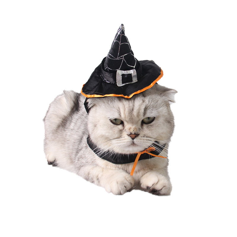 Noć vještica Šešir za kućne ljubimce Mače Hallowmas Pokrivalo za glavu Pas Čarobnjak Pokrivalo za glavu Mačka Čarobna kapa Psić Slatki odjevni pribor za Dan svih svetih