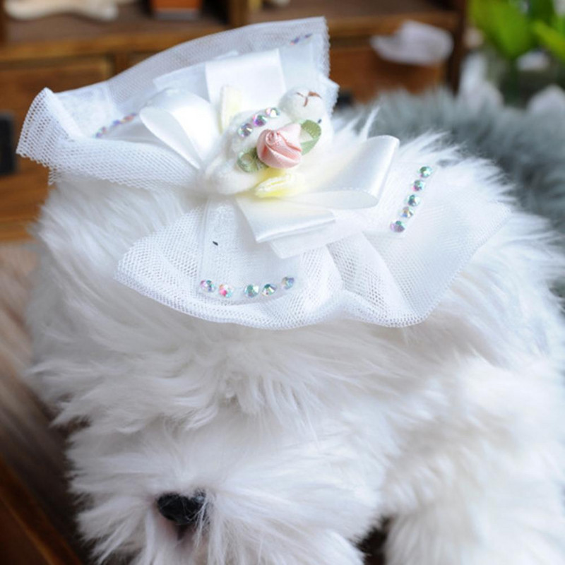 Lemmiklooma juuksekarva mugav puutetundlik lemmikloomade juukseklamber Luksuslik lemmiklooma juuksekarva