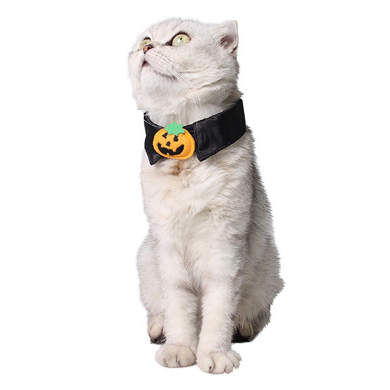 Pet Cat kaelarihm Halloween Pumpkim Koerte kaelarihm Pet Cat Holiday Aksessuaarid Lemmikloomade peokaunistused Lemmikloomatarbed