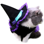 Odjeća za kućne ljubimce Vještica sa šeširom Festivalski kostim za pse Mačka Odjeća za štene Odjeća za zabavu Noć vještica Mačići Cosplay odjeća Dodaci za kućne ljubimce