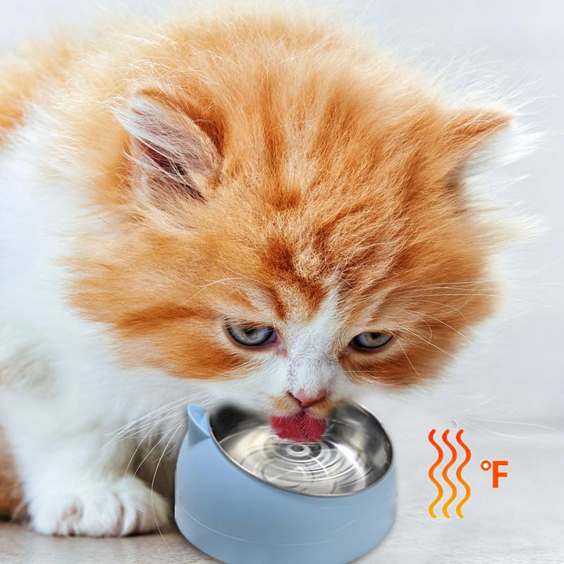 Automātiskā apsilde Dog Bowl Travel Pet Sausās barības bļodas kaķiem Suņiem Rozā suņu bļodas āra dzeramā ūdens bļoda 110v-220v