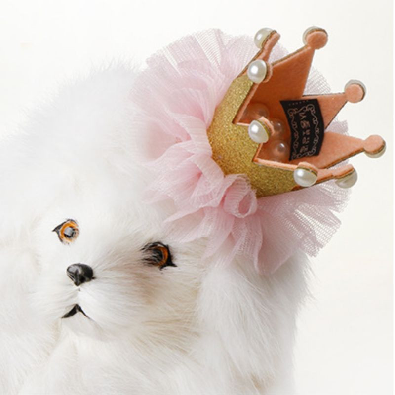 Slatka čipka Princeza Kruna Pas Mačka Kućni ljubimac Štipaljka za kosu Ukosnice Mače Štene Fotografija Mačka Pokrivalo za glavu Vjenčanje Dekoracija za rođendan