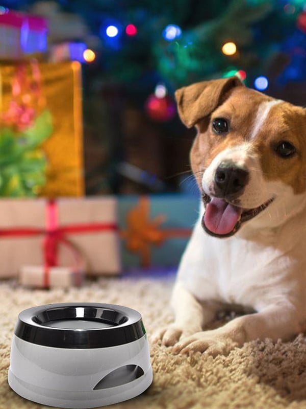 Kućni ljubimac, pas, mačka, zdjela za vodu, pojilica, plutajuća zdjela, nije mokra voda za prskanje vode, mačja zdjela, bez prskalice, dozator vode, prijenosna zdjela za pse