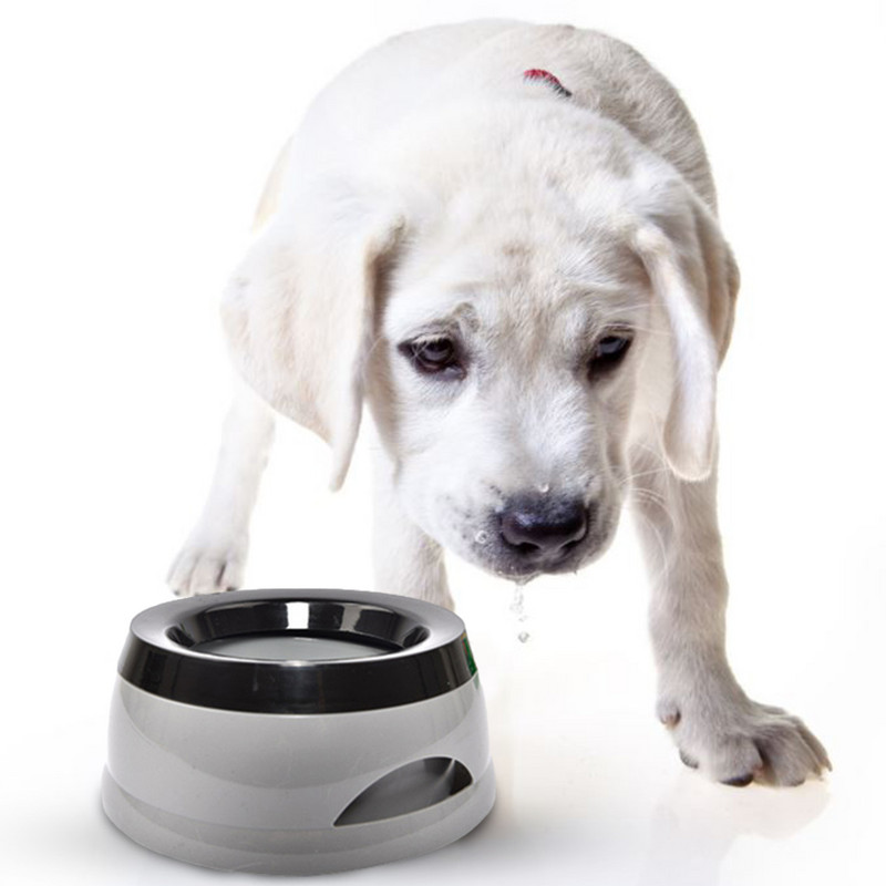 Kućni ljubimac, pas, mačka, zdjela za vodu, pojilica, plutajuća zdjela, nije mokra voda za prskanje vode, mačja zdjela, bez prskalice, dozator vode, prijenosna zdjela za pse