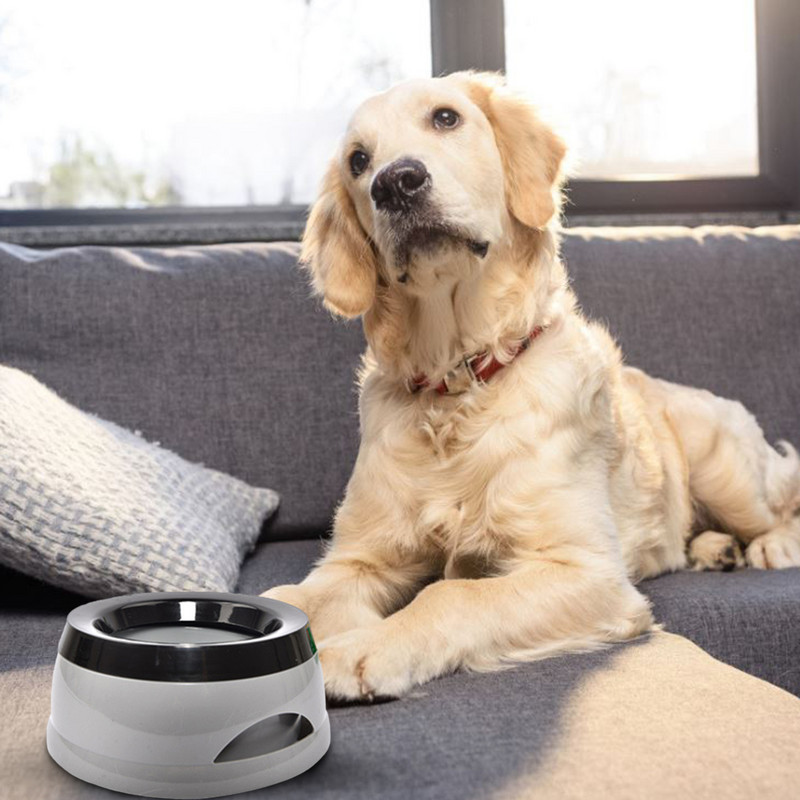 Kućni ljubimac, pas, mačka, zdjela za vodu, pojilica, plutajuća zdjela, nije mokra voda za prskanje vode, mačja zdjela, bez prskalice, dozator vode, prijenosna zdjela za pse