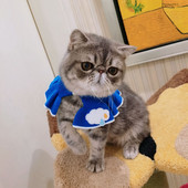 Legendog jauka mājdzīvnieku kaklasiksna Radoša trikotāžas elastīga modes mājdzīvnieku priekšautiņš mājdzīvnieku kostīmu kaklasiksna kaķu piederumiem mājdzīvnieku piederumi