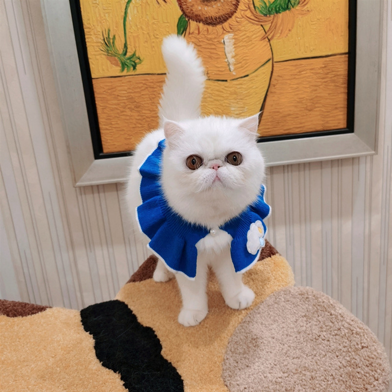 Legendog jauka mājdzīvnieku kaklasiksna Radoša trikotāžas elastīga modes mājdzīvnieku priekšautiņš mājdzīvnieku kostīmu kaklasiksna kaķu piederumiem mājdzīvnieku piederumi