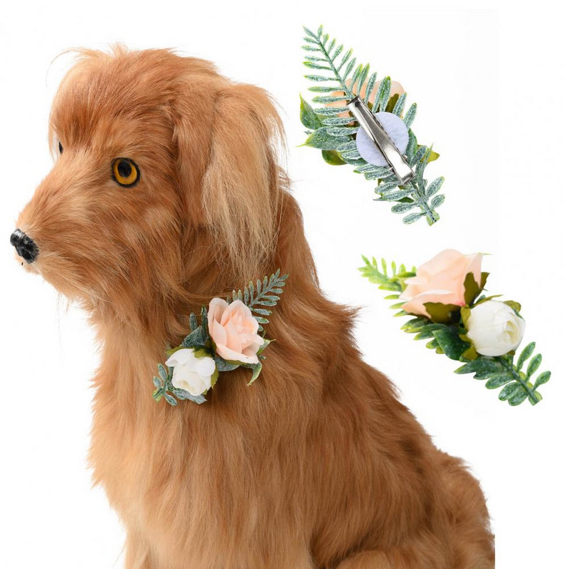 Peen juuksekleit, kerge kassi juukseklambriga peokaunistus lemmikloomapeoks