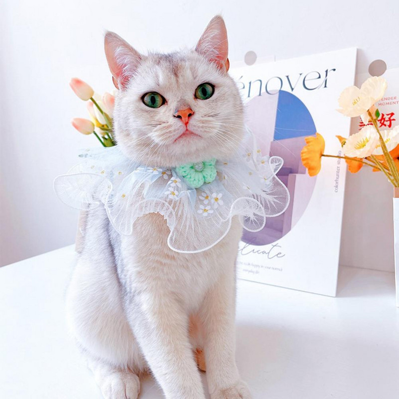 Spilgtas krāsas Praktiski mājdzīvnieku priekšautiņi Šalle Ar rokām darināti vainagi Aksesuāri Modes kaķēnu apkakles mežģīņu mala spēlēšanai