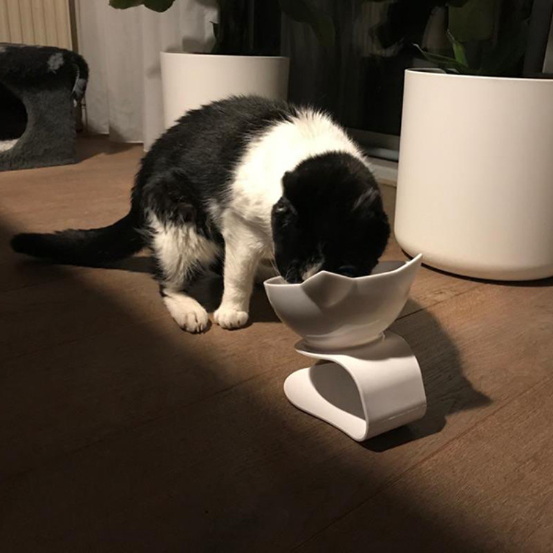 Libisemiskindel kahekordne kassikauss koerakauss koos alusega Kaitske emakakaela selgroolüli Lemmiklooma toitmise kassi veekauss lemmikloomakausside jaoks Söötmistarvikud