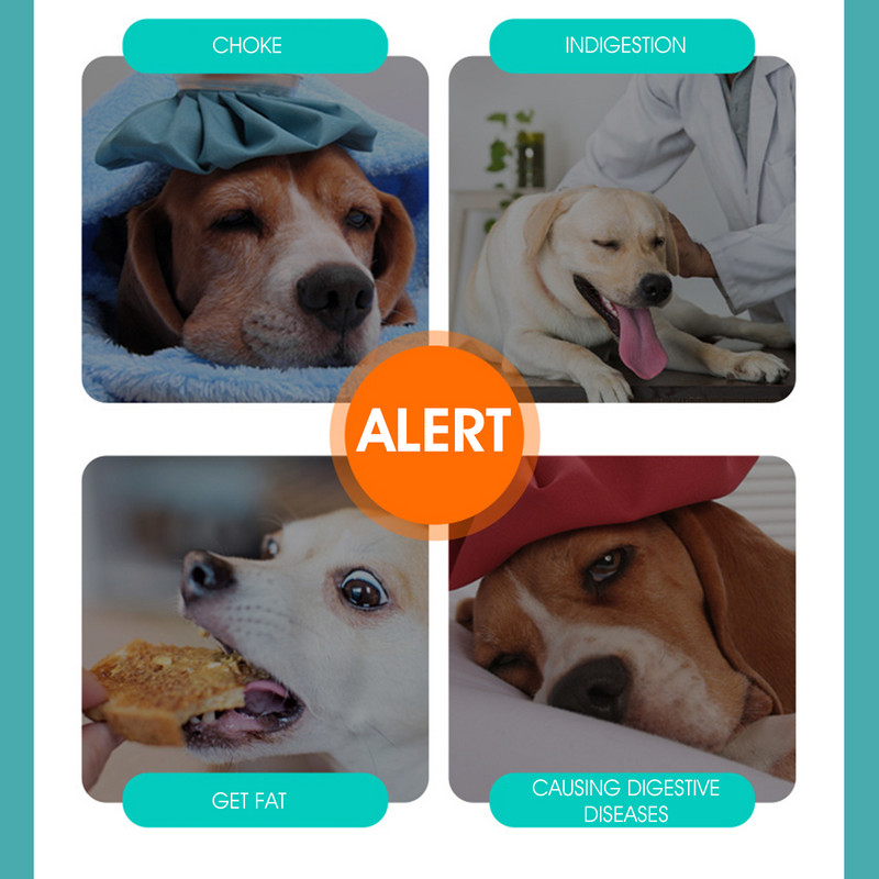 Lemmiklooma aeglase toidu kauss kassi kauss aeglase toidu kauss lämbumisvastane libisemisvastane koerakauss ühe koera kauss plastikust väike keskmine koer PBW227