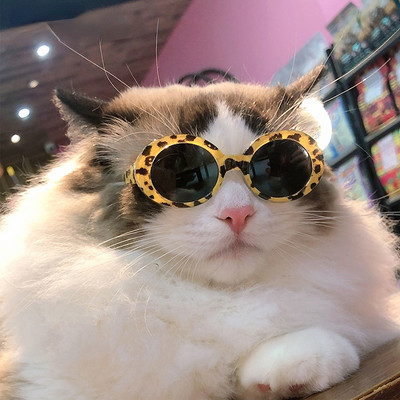 Γυαλιά Pet Cat Γυαλιά Cool Fashion Στρογγυλά γυαλιά για Puppy Kitten Προϊόντα Pet Αντιηλιακά γυαλιά για μικρά μεγάλα σκυλιά Αξεσουάρ για κατοικίδια