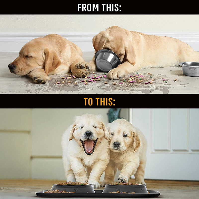 Dvostruka posuda za pse protiv klizanja sa silikonskom podlogom Izdržljiva hranilica za vodu od nehrđajućeg čelika Hranjenje hrane za kućne ljubimce Posude za piće za pse Mačke