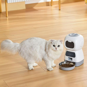 Χρήσιμος τροφοδότης χρονοδιακόπτη διανομής ξηρής τροφής Dog Cat με Μεταλλικό μπολ Αυτόματος τροφοδότης γάτας προγραμματιζόμενος για Pet Shop