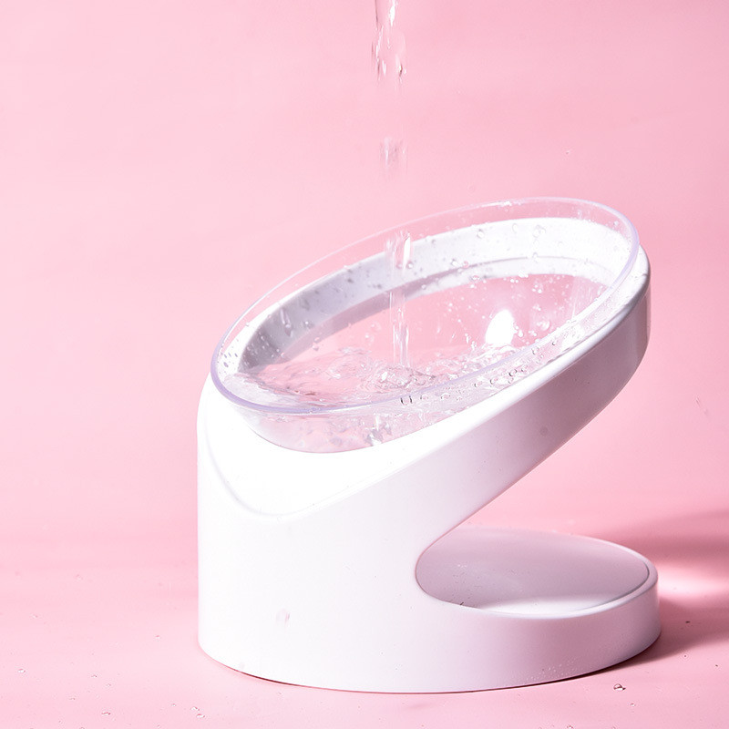 Uus lemmikloomatoidukauss koertele kassidele Feedind kauss koos alusega kaitsva lülisamba söötjaga Kitty taldrik kutsikanõu joogipudel koera veekauss