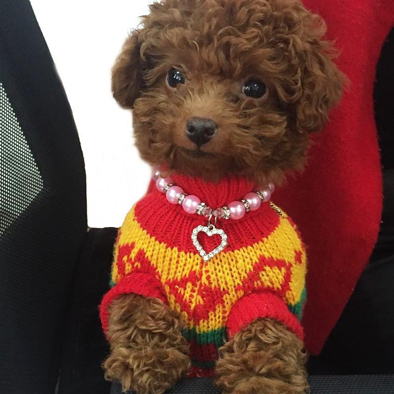 1PC Modna ogrlica za pse s kamenčićima za male pse Chihuahua mačka Biserni lančići s privjeskom S draguljima SML Dobavljač proizvoda za kućne ljubimce Mops