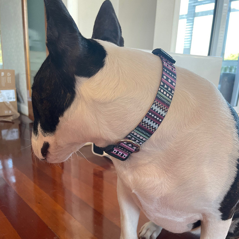 New Fashion Bohemian printed κολάρα σκυλιών Ρυθμιζόμενα ανθεκτικά αφαιρούμενα γεωμετρικά μοτίβα κολιέ με βρόχο προμήθειες για κατοικίδια Αξεσουάρ