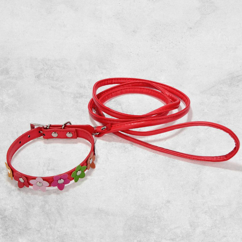 Lijepa ogrlica za pse Fleksibilna kopča ogrlice za pse Slatka ogrlica za pse Podesiva