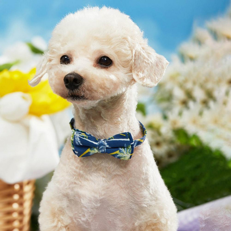 Mājdzīvnieku kaklarota Mīksta mājdzīvnieku kaklasiksna Modes kucēnu kaķu kaklasiksna ar zvaniņu