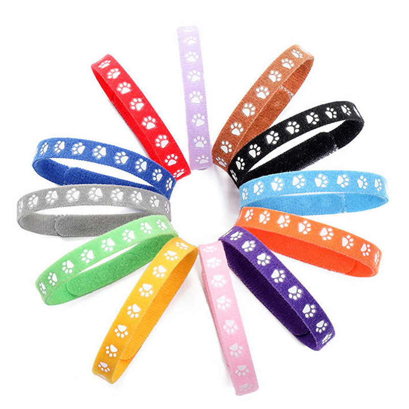 6 gab./komplekts Suņu kaklasiksnas Krāsainas klasiskas kaklarotas Vienkārša kucēnu kaķēna identifikācijas kaklasiksna Kaķēna ID kaklasiksnas siksnas mājdzīvnieku piederumi