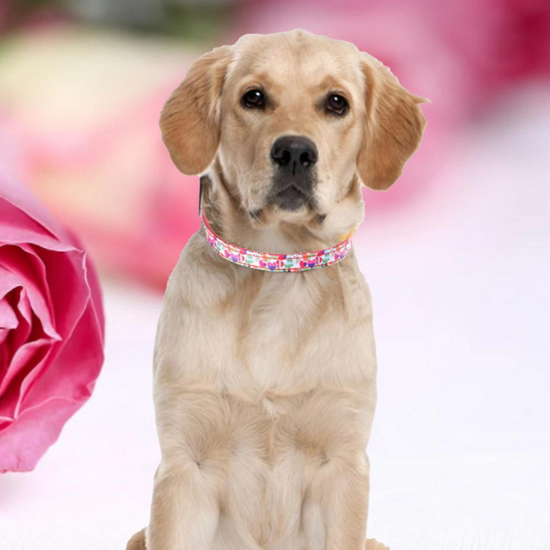 Ogrlica za kućne ljubimce Preslatka ogrlica za kućne ljubimce Kitten Dogs Festival Decor Ogrlica sa zvonom