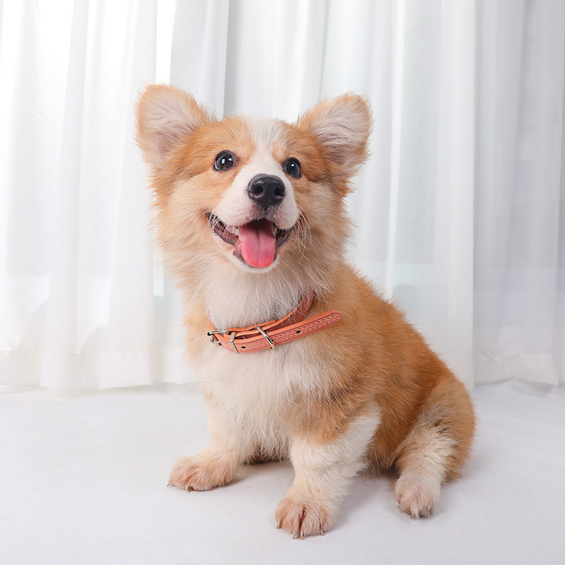 Vruća ogrlica za kućne ljubimce, mekana i udobna ogrlica za pse s printom Pu kože, prikladna za dodatke za srednje male i velike pse