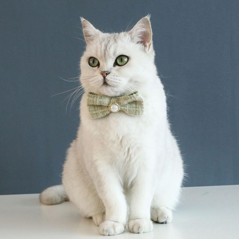 Izdržljiva pletena ukrasna lagana leptir mašna za kućne ljubimce oko vrata za štene