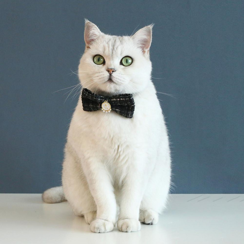 Izdržljiva pletena ukrasna lagana leptir mašna za kućne ljubimce oko vrata za štene