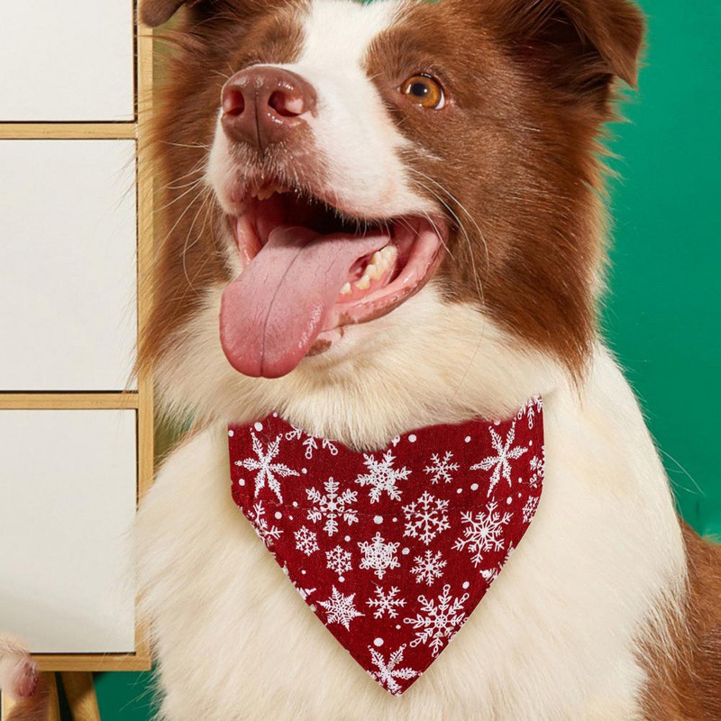 Vastupidav lemmiklooma kaelarihm eemaldatav vibu kass koerale lemmiklooma jõulukaelarihm, mitte tuhmuv kelluke ripats Lemmiklooma jõulukaelarihm kassitarbed