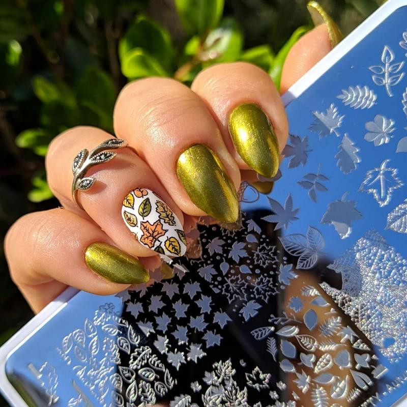 BORN PRETTY Placă de ștanțare Frunze de arțar Tema de toamnă Design de toamnă din oțel inoxidabil Șabloane de ștampilă pentru unghii L002