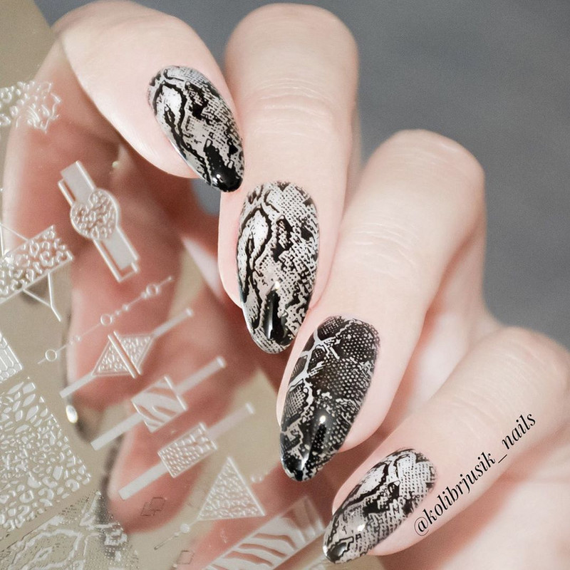 NICOLE DIARY Ussinahast tembeldusplaadid Leopard Zebra Disain templite šabloonid Maniküürid Küünte tembeldamine Küünelakkide mallid