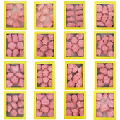 27 stiili Küpsiselõikurid Plastikust 3D dinosauruse kujuga multifilm Vajutatav biskviitvorm Küpsisetempel Köök Küpsetamine Kondiitritooted Küpsetusnõud