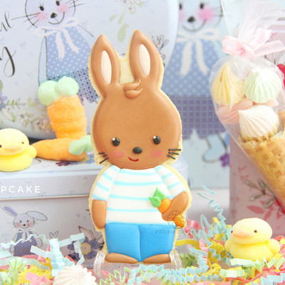 Πασχαλινή φόρμα για μπισκότο για πασχαλινό μπισκότο σε σχήμα κουνελιού PLA Πλαστική επαναχρησιμοποιήσιμη διακοσμητής κέικ με πίεση χεριών